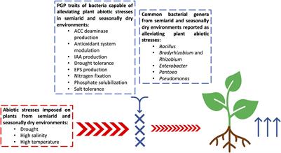 Beneficial Plant-Associated Microorganisms From Semiarid Regions and Seasonally Dry Environments: A Review